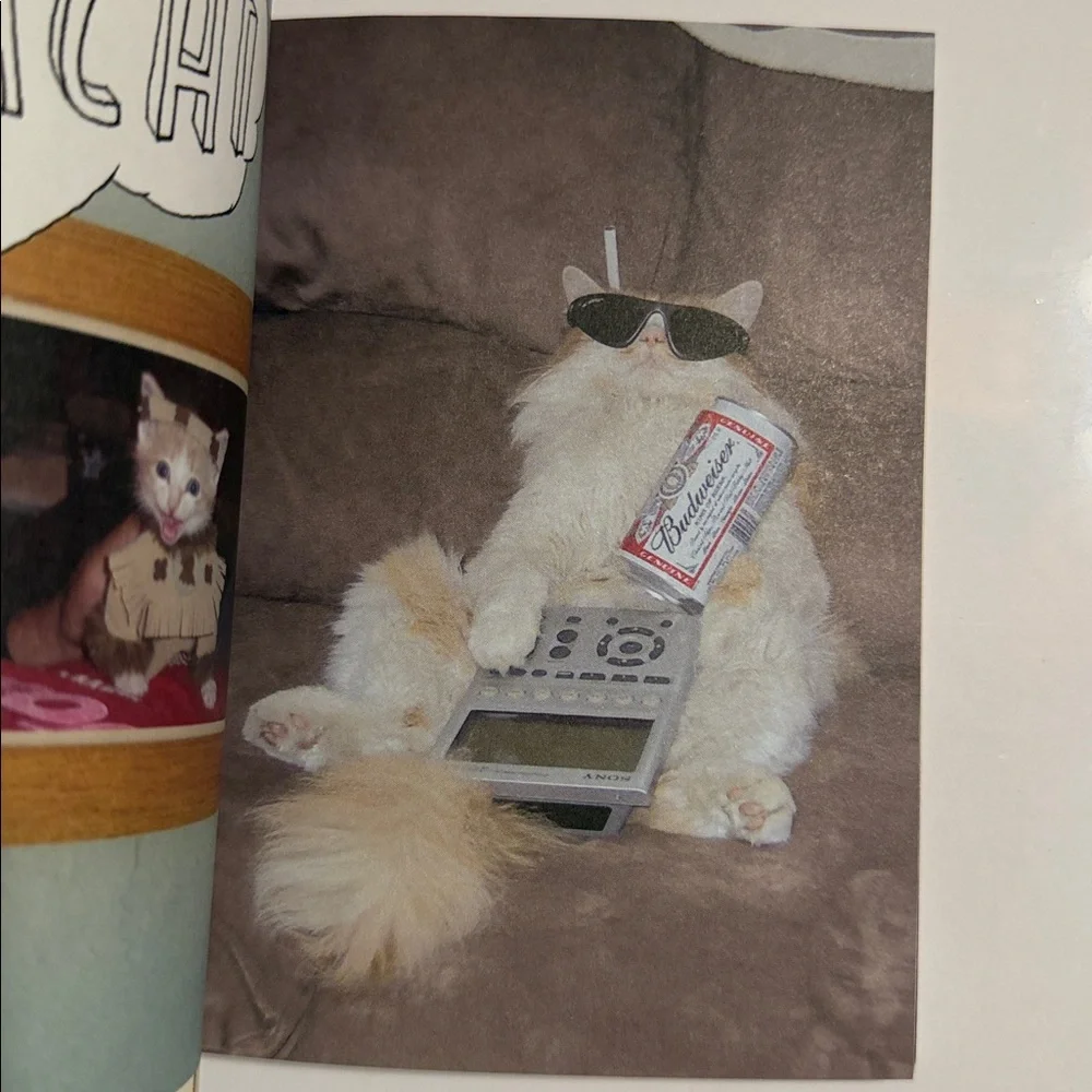 Stuff on My Cat Book - Multicolor